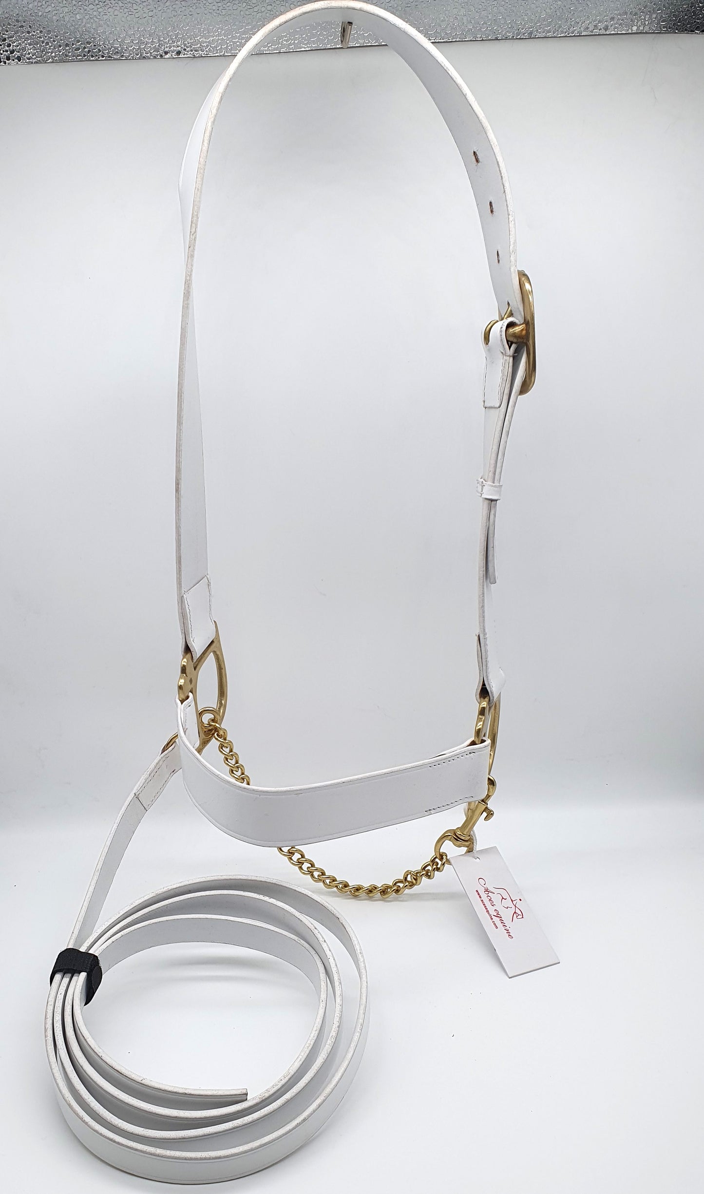 Leather Adjustable Horse show Halter White with Chain lead