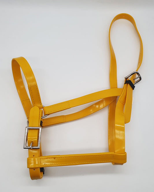 Yellow Rope Halter Halters / Head Collar – Aces Equine