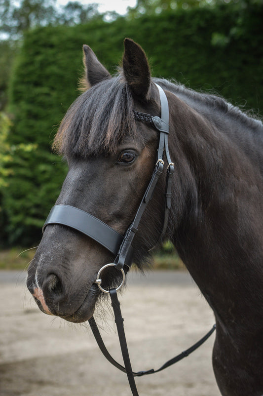 LEATHER-PLAITED-HUNTER-HORSE-BRIDLE-1.jpg